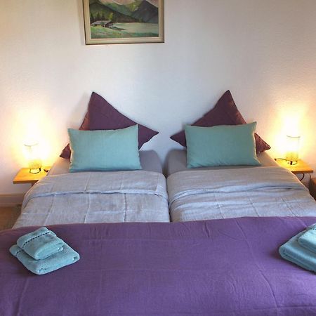 Combles & Vous Apartment Colmar Bagian luar foto