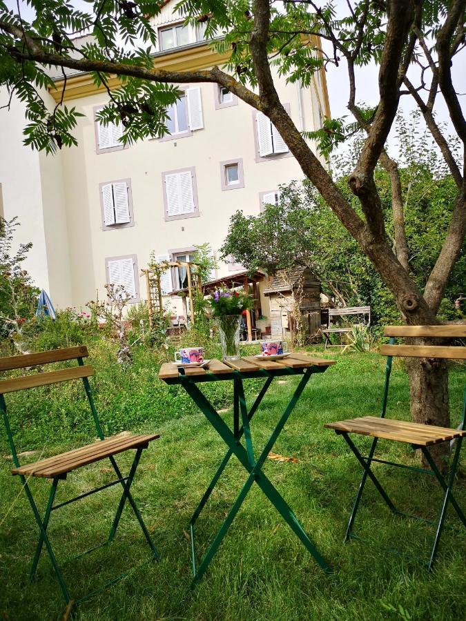 Combles & Vous Apartment Colmar Bagian luar foto