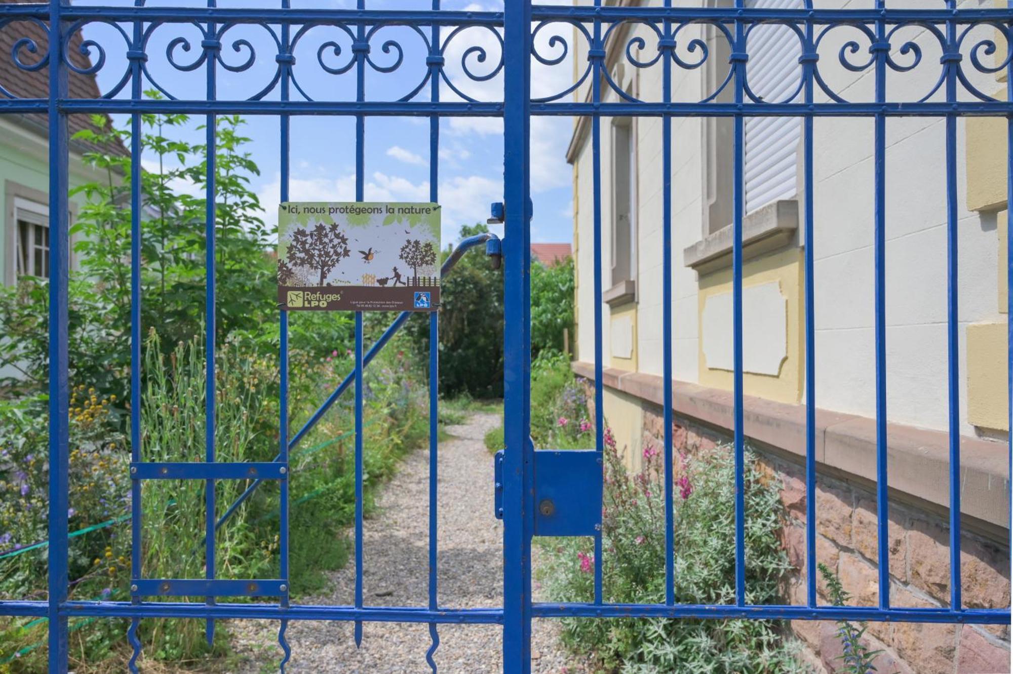 Combles & Vous Apartment Colmar Bagian luar foto