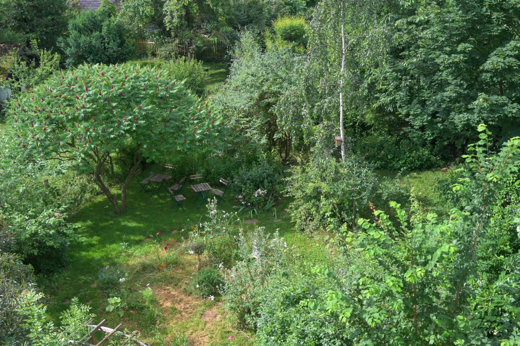 Combles & Vous Apartment Colmar Bagian luar foto